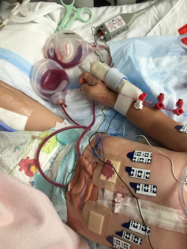 29244205505_6a35bbea50_b